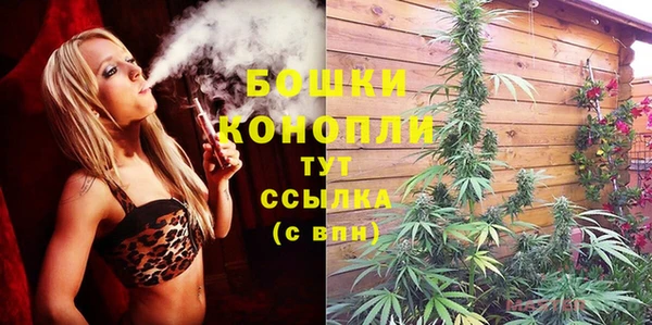 шишки Богородицк