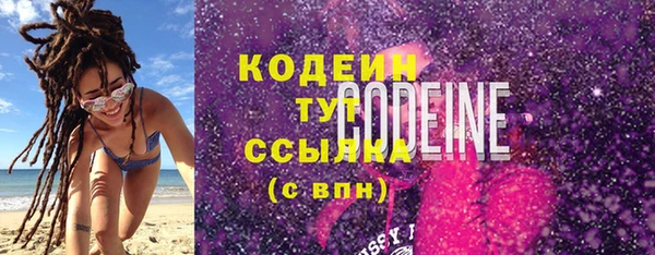 шишки Богородицк