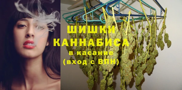 шишки Богородицк