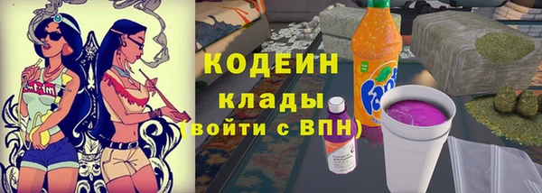 шишки Богородицк