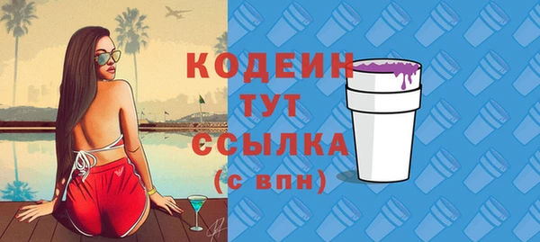 apvp Богданович