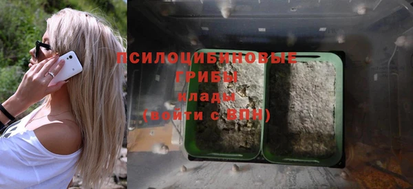 не бодяженный Богородск