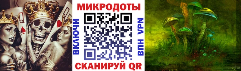 где продают наркотики  Горячий Ключ  Галлюциногенные грибы Psilocybine cubensis 