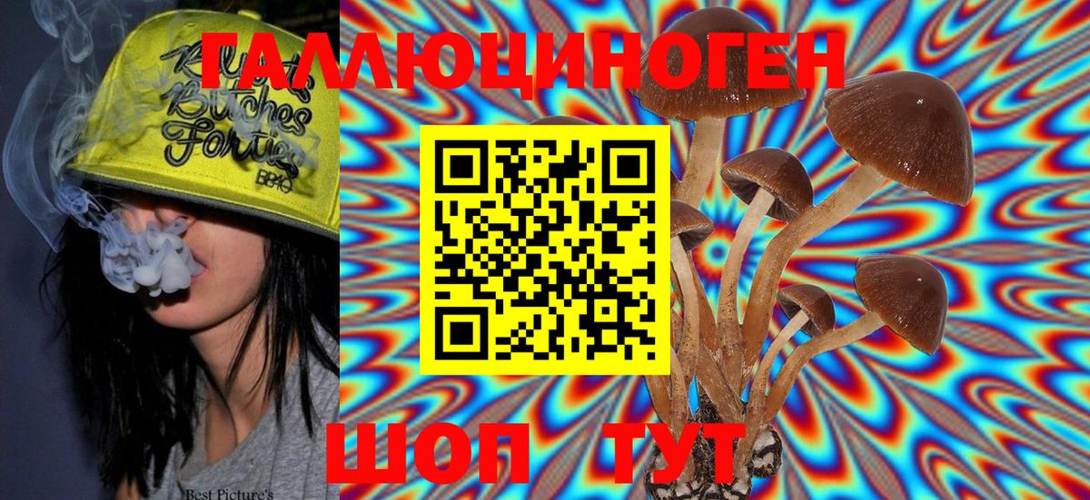 Псилоцибиновые грибы мицелий Горячий Ключ