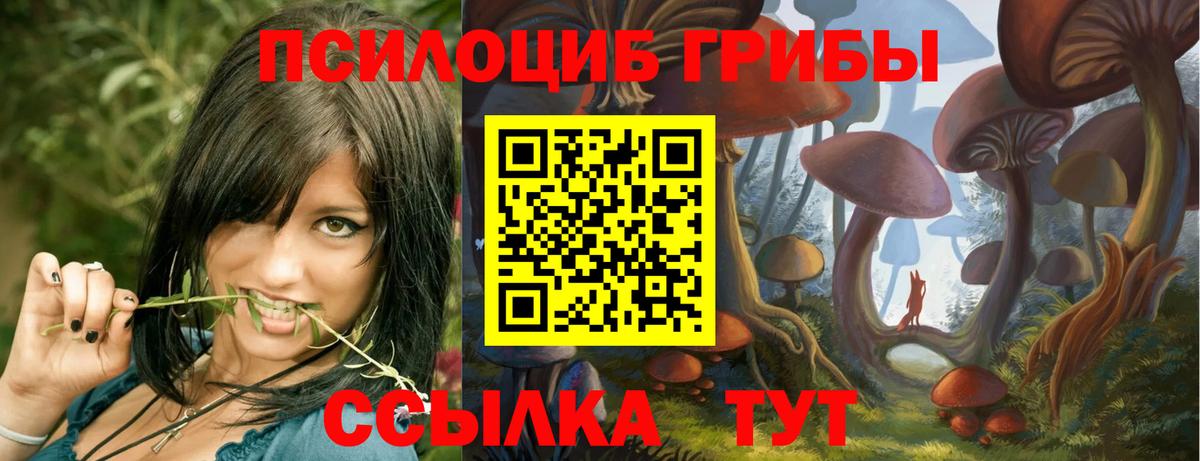 Галлюциногенные грибы Magic Shrooms  Псилоцибиновые грибы Magic Shrooms  Вход с VPN  Горячий Ключ 